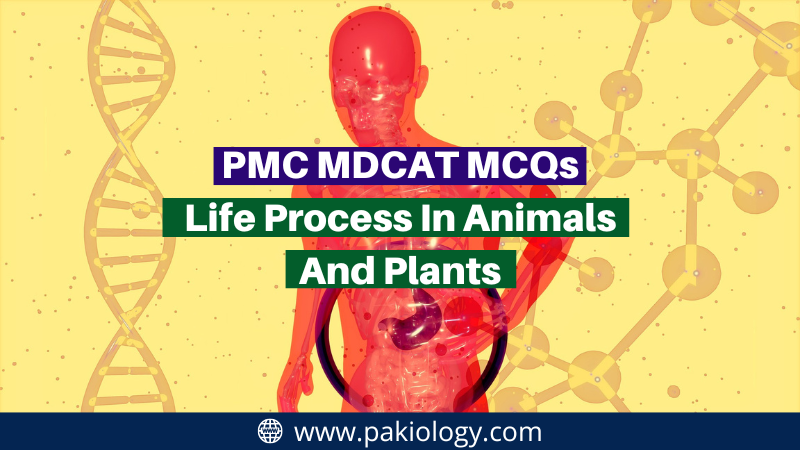PMC MDCAT MCQs On Life Process In Animals And Plants