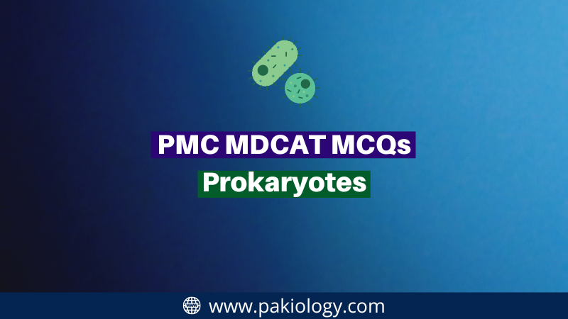 PMC MDCAT MCQs On Prokaryotes : Attempt Now