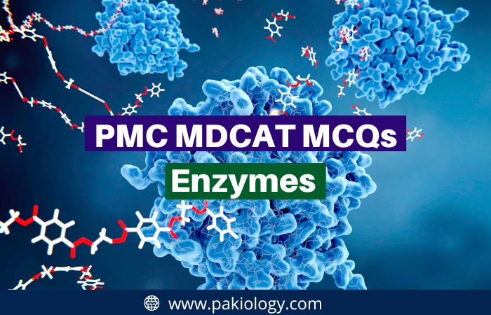 PMC MDCAT MCQs On Enzymes | Structure and Function