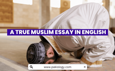A True Muslim Essay With Quotations 2023