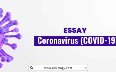 English Essay On COVID-19
