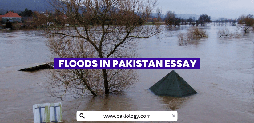 Floods In Pakistan Essay
