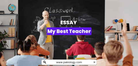 best teacher in the world essay