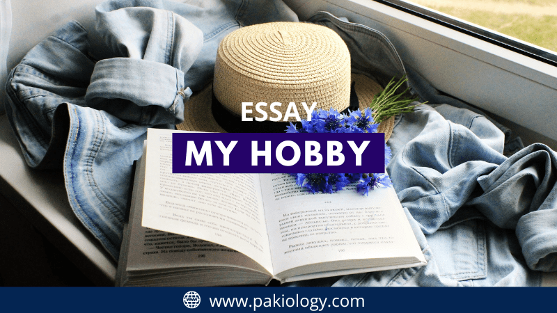 My Hobby Essay In English