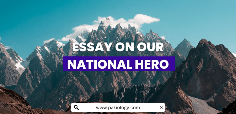 Essay On Our National Hero