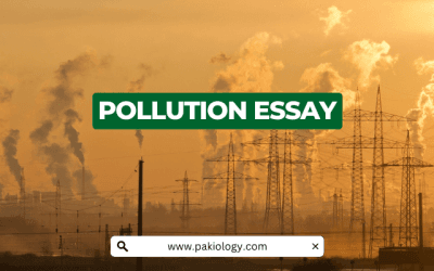 A Perfect Pollution Essay: Expert Tips and Strategies
