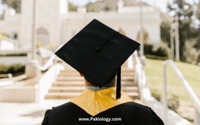 Top Universities That Offer Full Scholarships to International Students 2023