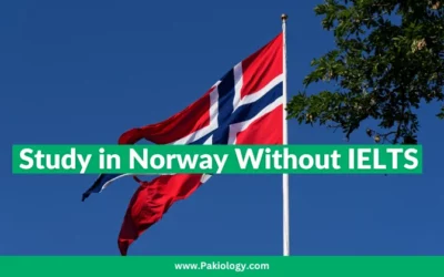 Study in Norway Without IELTS 2024| Study Abroad