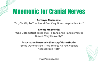 Mnemonic for Cranial Nerves: Memorize with Ease