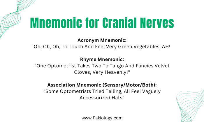 Mnemonic for Cranial Nerves